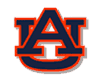 Auburn Web Page