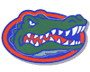 Gators Web Page